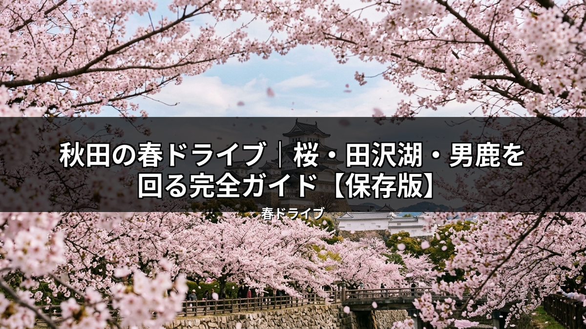 秋田の桜名所の一つで、城を背景に満開の桜が広がる絶景。春のドライブで訪れたい田沢湖や男鹿への旅を彩る完全ガイドのイメージ。