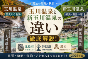玉川・新玉川温泉の「違い」徹底解説！北投石・岩盤浴・湯治2026
