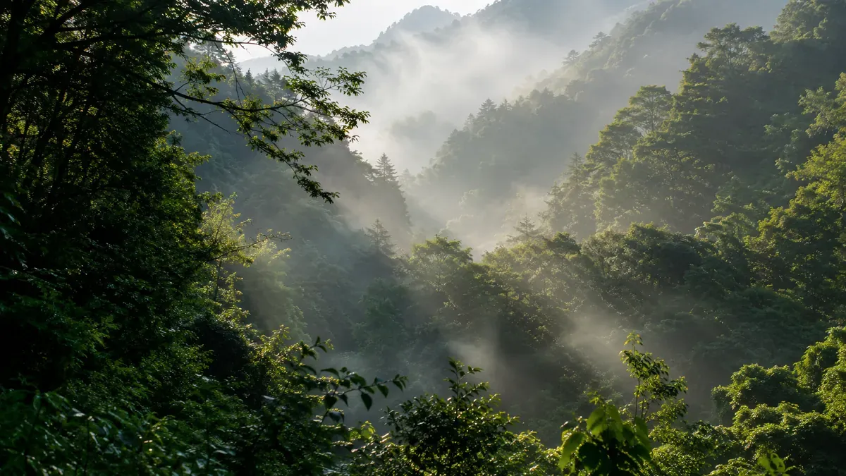 奥羽山脈の深い山間部、夏でも肌寒い朝霧が立ち込める秋田の自然風景