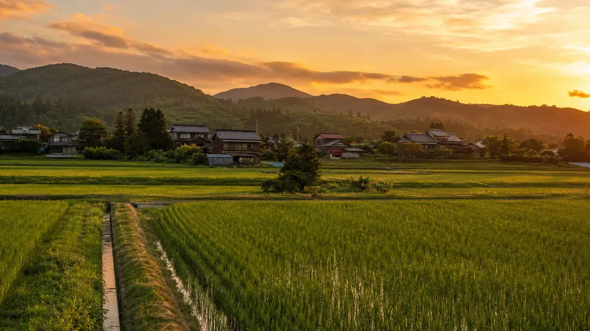 夏の秋田県羽後町、のどかな田園風景と里山の広がる情景