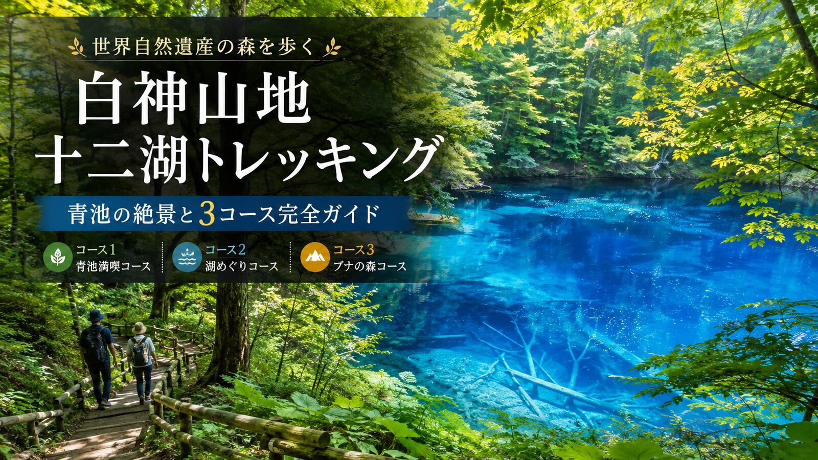白神山地 十二湖トレッキング｜青池の絶景と3コース完全ガイド